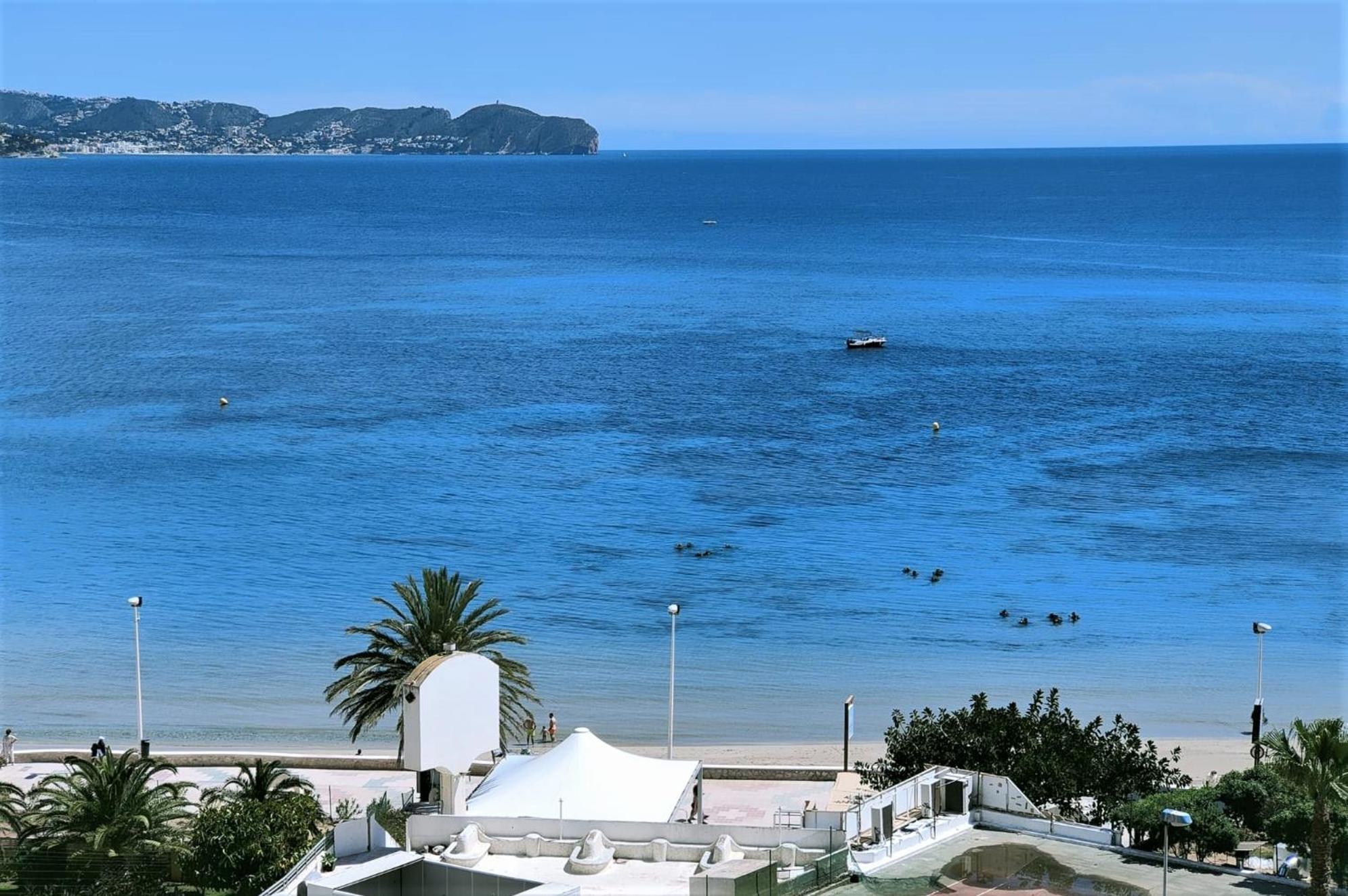 Precioso Estudio Primera Linea Fossa-Puerto Calp Extérieur photo